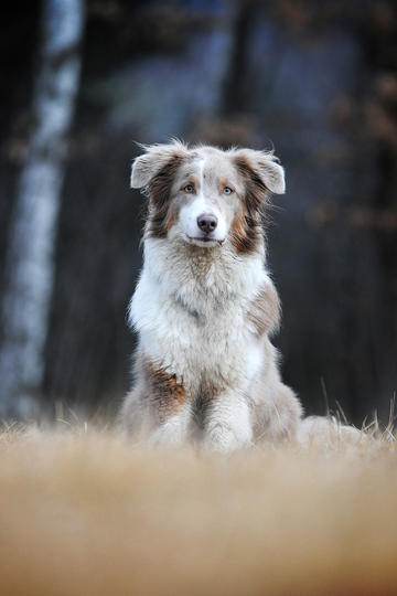 这样的态度已经结束了很多关系