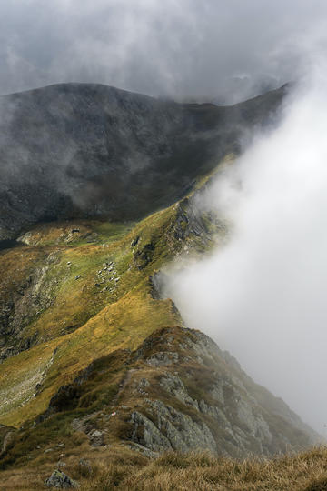 黄晓明担任总台大巴001号导游