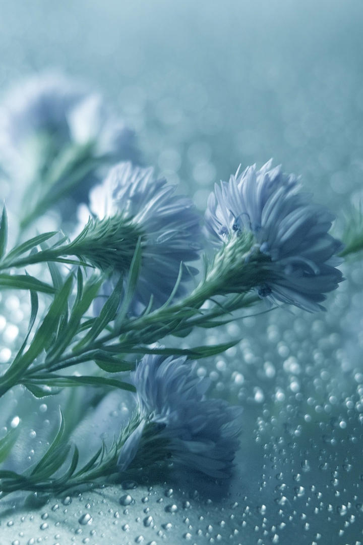 为什么人往往不听过来人的建议，非走弯路？